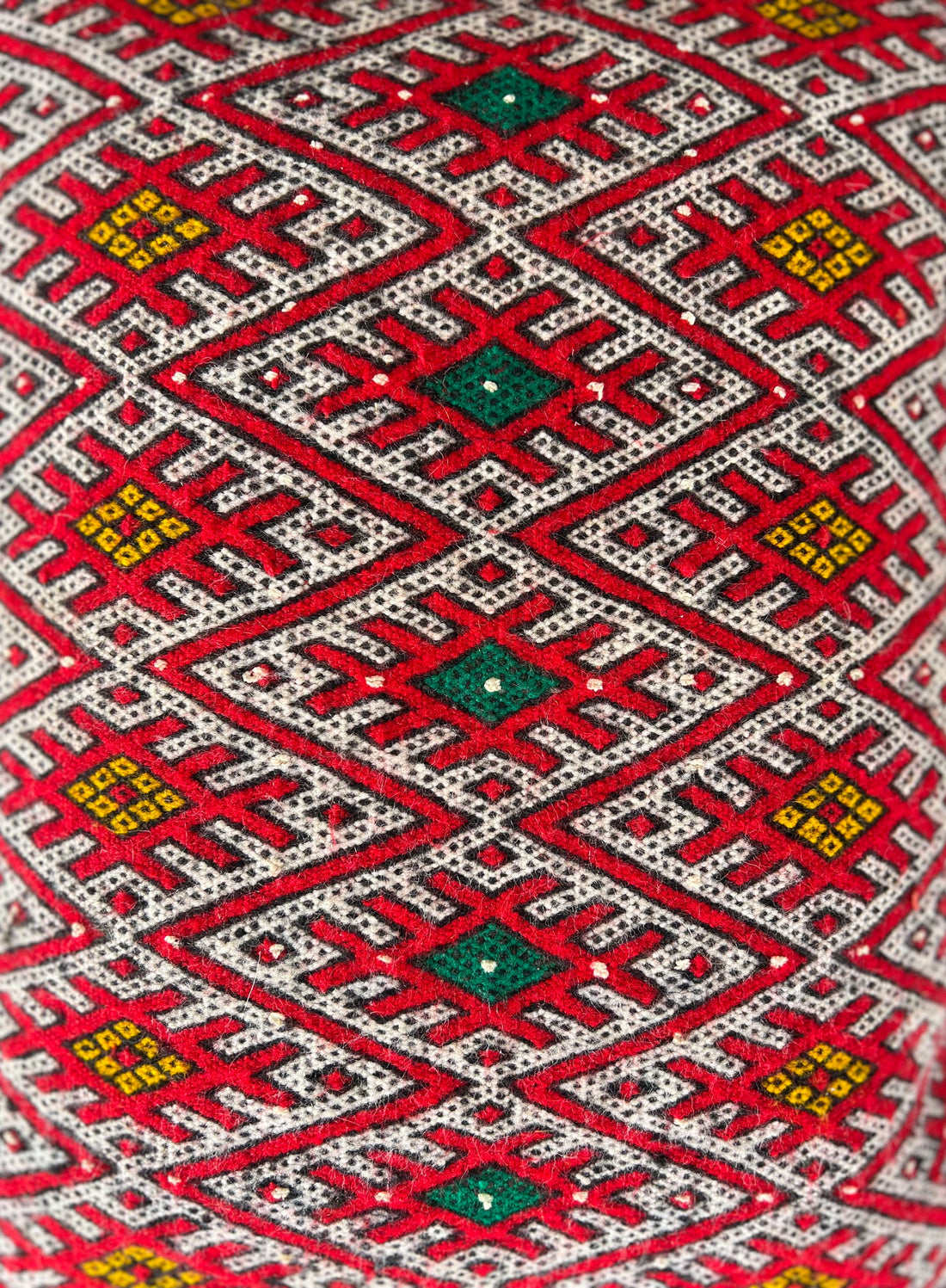 Ain Leuh Small Lumbar Pillow - Repetitive Lion Paw