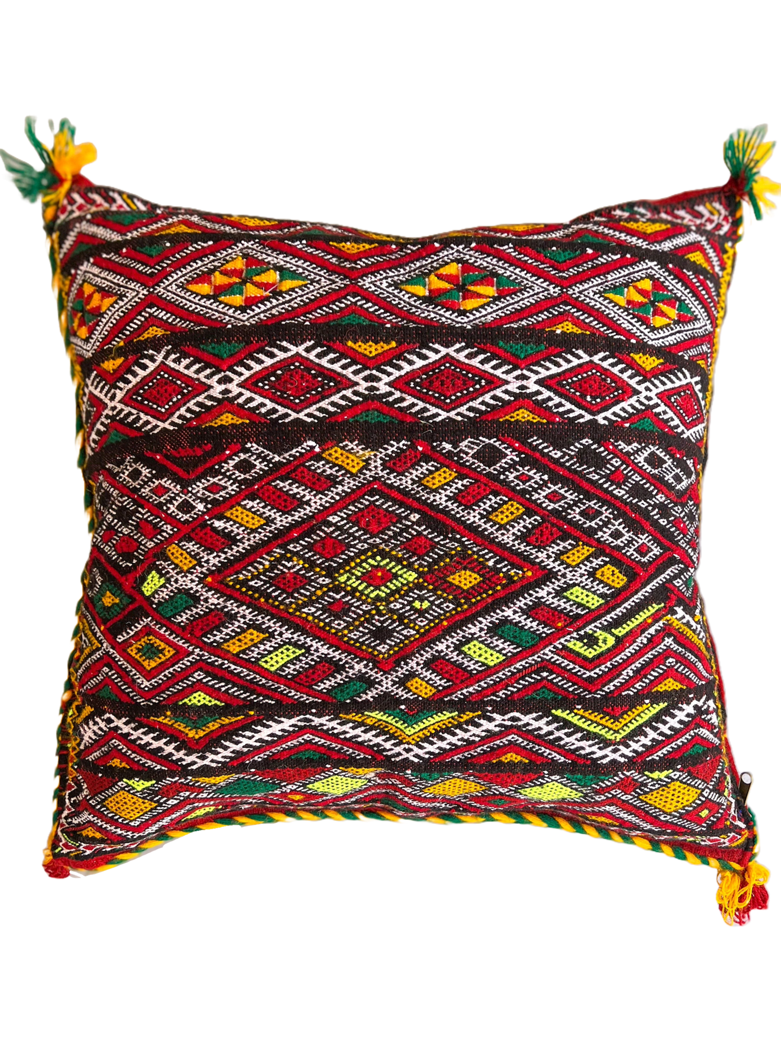 Ain Leuh Pillow - Florescent Paw