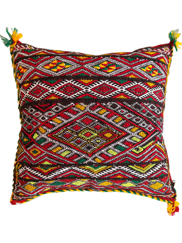 Ain Leuh Pillow - Florescent Paw