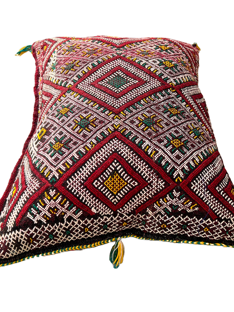 Ain Leuh Pillow - Eye